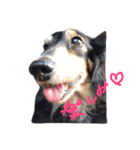 pino is friends 2（個別スタンプ：12）