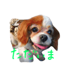 pino is friends 2（個別スタンプ：22）