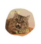 ivu life（個別スタンプ：1）
