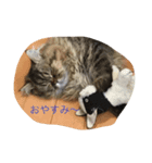 ivu life（個別スタンプ：4）