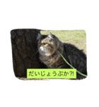 ivu life（個別スタンプ：6）