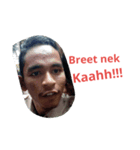 aceh comunication（個別スタンプ：6）