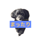 ジャック と モコ（個別スタンプ：1）