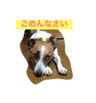 ジャック と モコ（個別スタンプ：3）