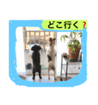 ジャック と モコ（個別スタンプ：5）