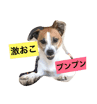 ジャック と モコ（個別スタンプ：7）