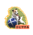 ジャック と モコ（個別スタンプ：8）