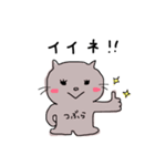 TSUBURA'S STUMP（個別スタンプ：1）
