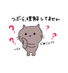 TSUBURA'S STUMP（個別スタンプ：13）