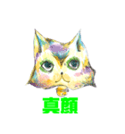 猫たちの喜怒哀楽（個別スタンプ：14）