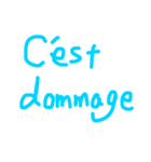 French greeting（個別スタンプ：23）