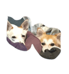 Mug and Joe（個別スタンプ：3）