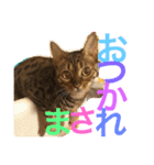べるとすず（個別スタンプ：1）