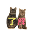 べるとすず（個別スタンプ：4）
