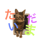 べるとすず（個別スタンプ：5）