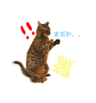 べるとすず（個別スタンプ：6）