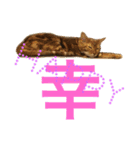 べるとすず（個別スタンプ：7）