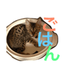 べるとすず（個別スタンプ：21）