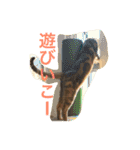 べるとすず（個別スタンプ：24）