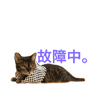 べるとすず（個別スタンプ：26）