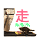 べるとすず（個別スタンプ：27）
