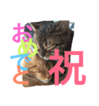 べるとすず（個別スタンプ：30）