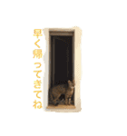 べるとすず（個別スタンプ：32）