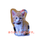 ありがとう シリーズ（個別スタンプ：3）
