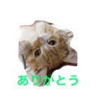 ありがとう シリーズ（個別スタンプ：4）