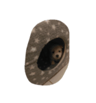 Nicky CCC（個別スタンプ：4）