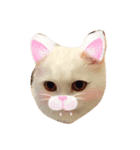 onibaby（個別スタンプ：11）