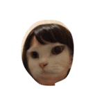 onibaby（個別スタンプ：16）
