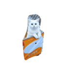 onibaby（個別スタンプ：20）