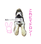ベルン_うさぎ（個別スタンプ：2）