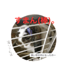 ベルン_うさぎ（個別スタンプ：6）
