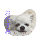 うちのさくらんぼ（個別スタンプ：2）
