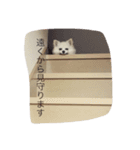 うちのさくらんぼ（個別スタンプ：5）