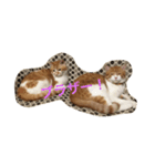 吾輩はニャンコ2（家猫リコピンの日常）（個別スタンプ：12）