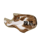 吾輩はニャンコ2（家猫リコピンの日常）（個別スタンプ：20）