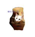 伍呂(ごろ)くん（個別スタンプ：5）