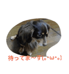 tiwakkusu maro（個別スタンプ：6）