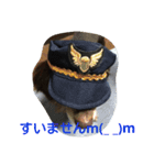 tiwakkusu maro（個別スタンプ：11）