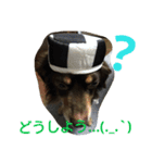 tiwakkusu maro（個別スタンプ：12）