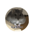 ぽちゃがす（個別スタンプ：1）