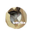 ぽちゃがす（個別スタンプ：4）