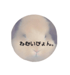 ぽむぽむ（個別スタンプ：2）