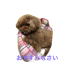 あんちゃん ごあいさつ（個別スタンプ：2）