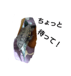 ハムスターと亀（個別スタンプ：3）