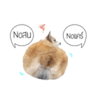 Nemo sweetcorgi（個別スタンプ：2）