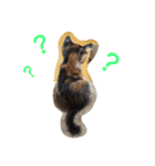 Empress cat（個別スタンプ：11）